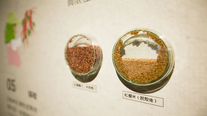 紅藜特展