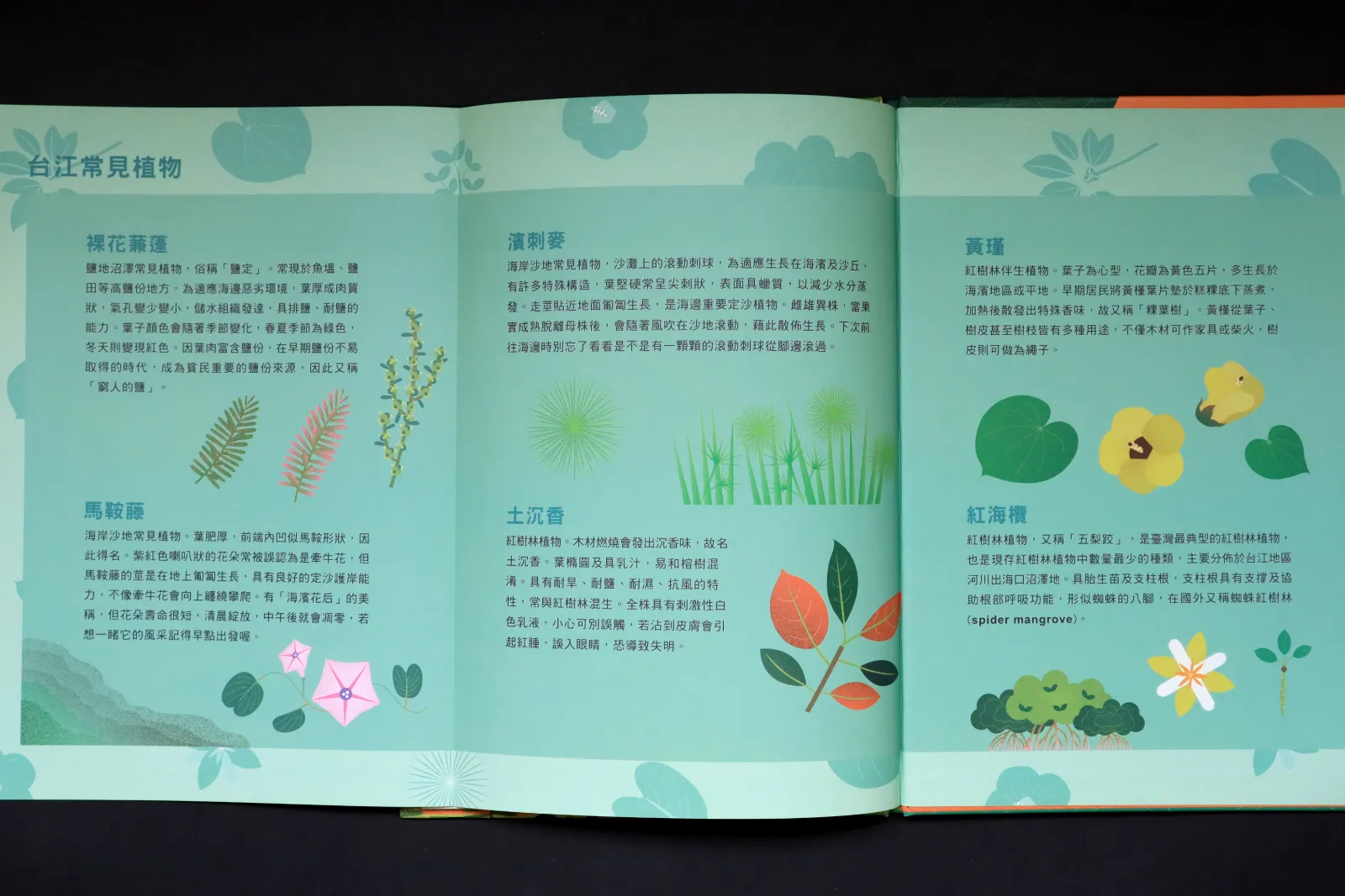 聽說台江有寶藏