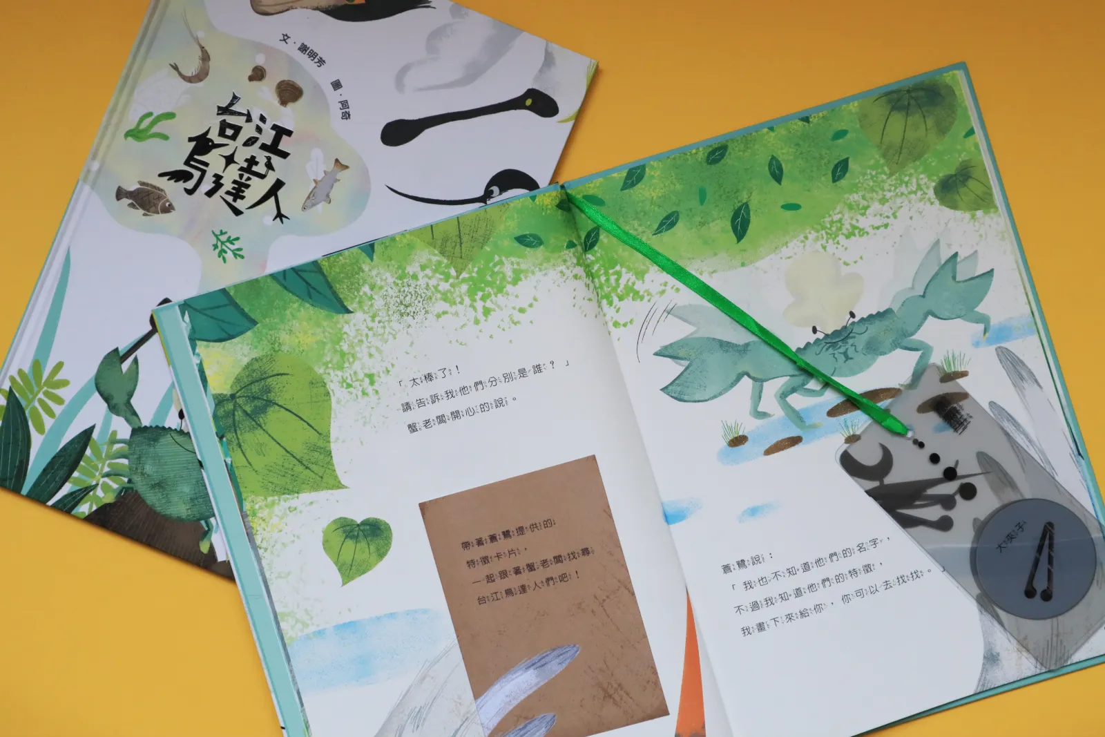 台江鳥達人