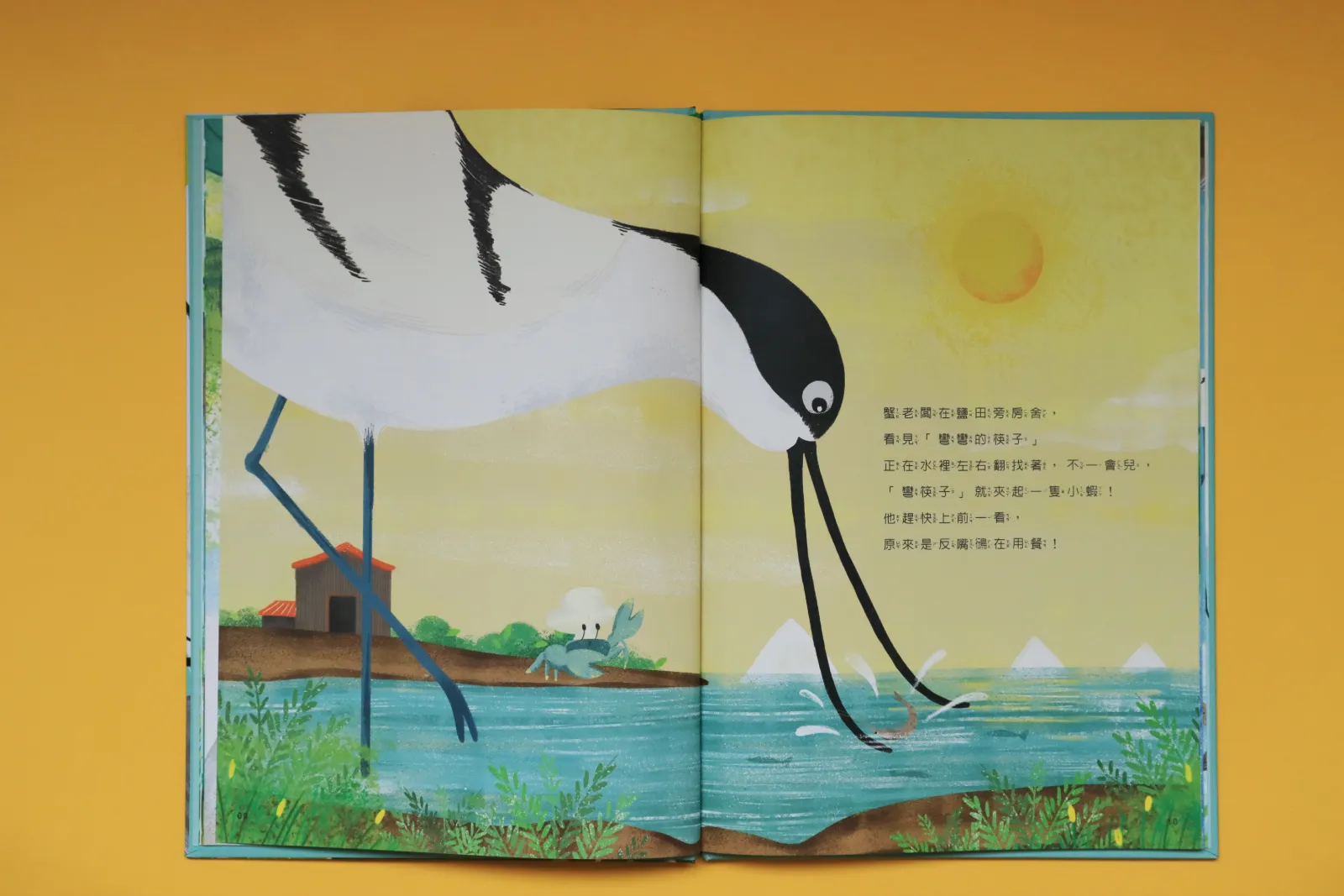 台江鳥達人