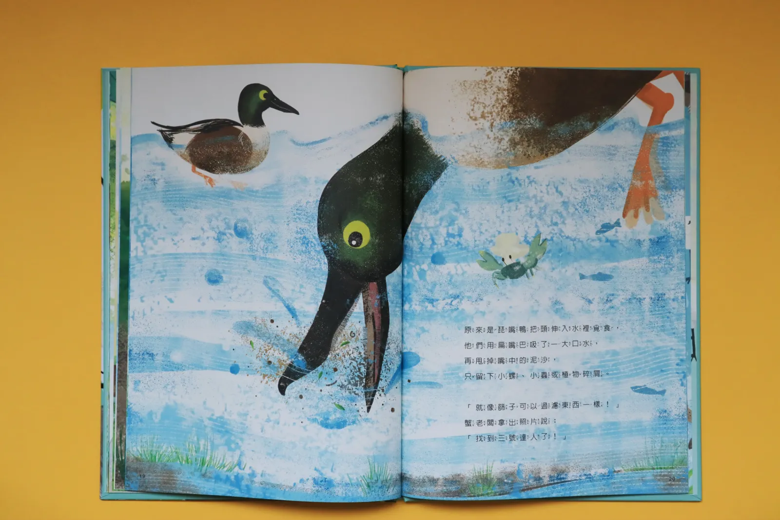 台江鳥達人