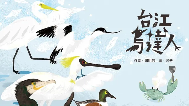 台江鳥達人