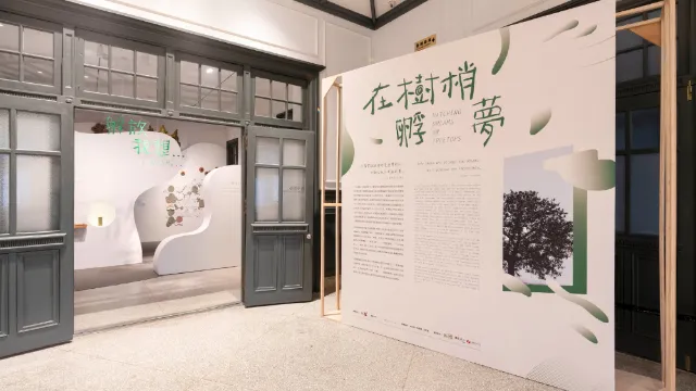 在樹梢孵夢